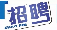 岱岳區(qū)政務(wù)服務(wù)中心招人啦！大專以上學(xué)歷，即日起報(bào)名